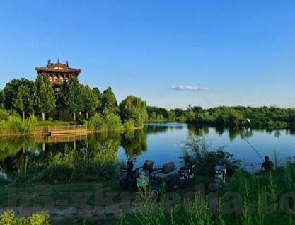 成人视频在线直播-成人视频在线直播，数字时代下的文化现象与影响
