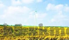 麻豆传媒播放-系统性剖析麻豆传媒播放，多元化表达方式中的文化与探索