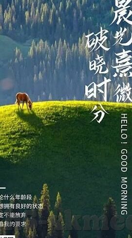 糖心Vlog下载官网入口-xxx，细品糖心Vlog下载的秘密花园